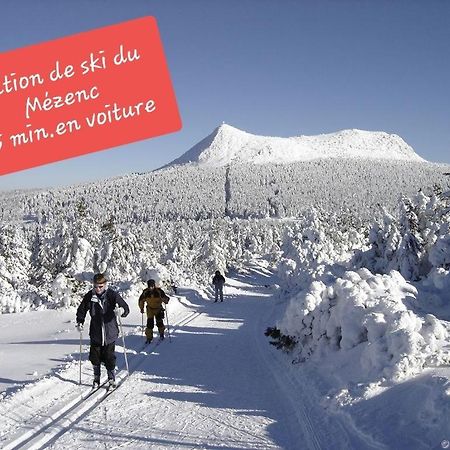 Au Lion D'Or Lägenhet Le Puy-en-Velay Exteriör bild